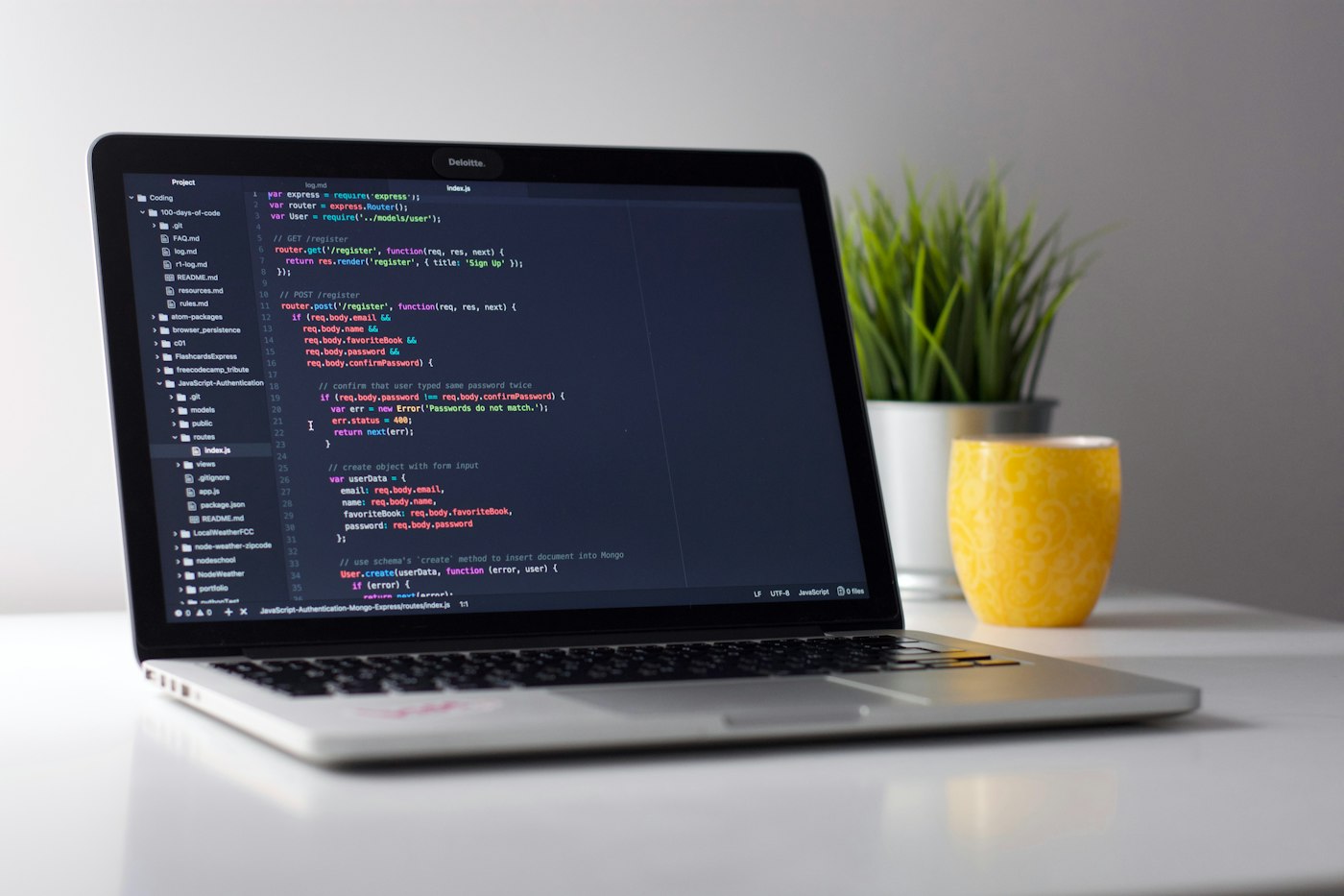 Software products and web development
